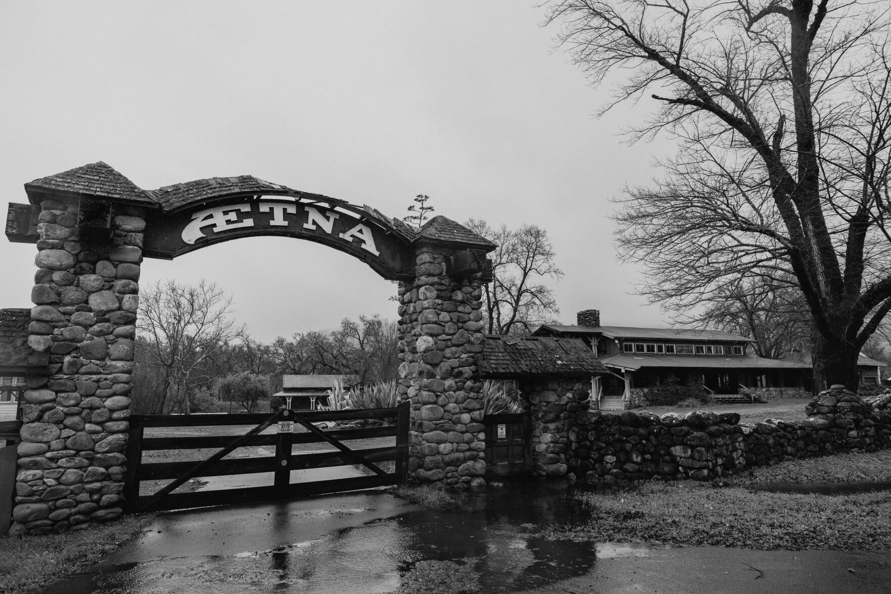Aetna Springa BW